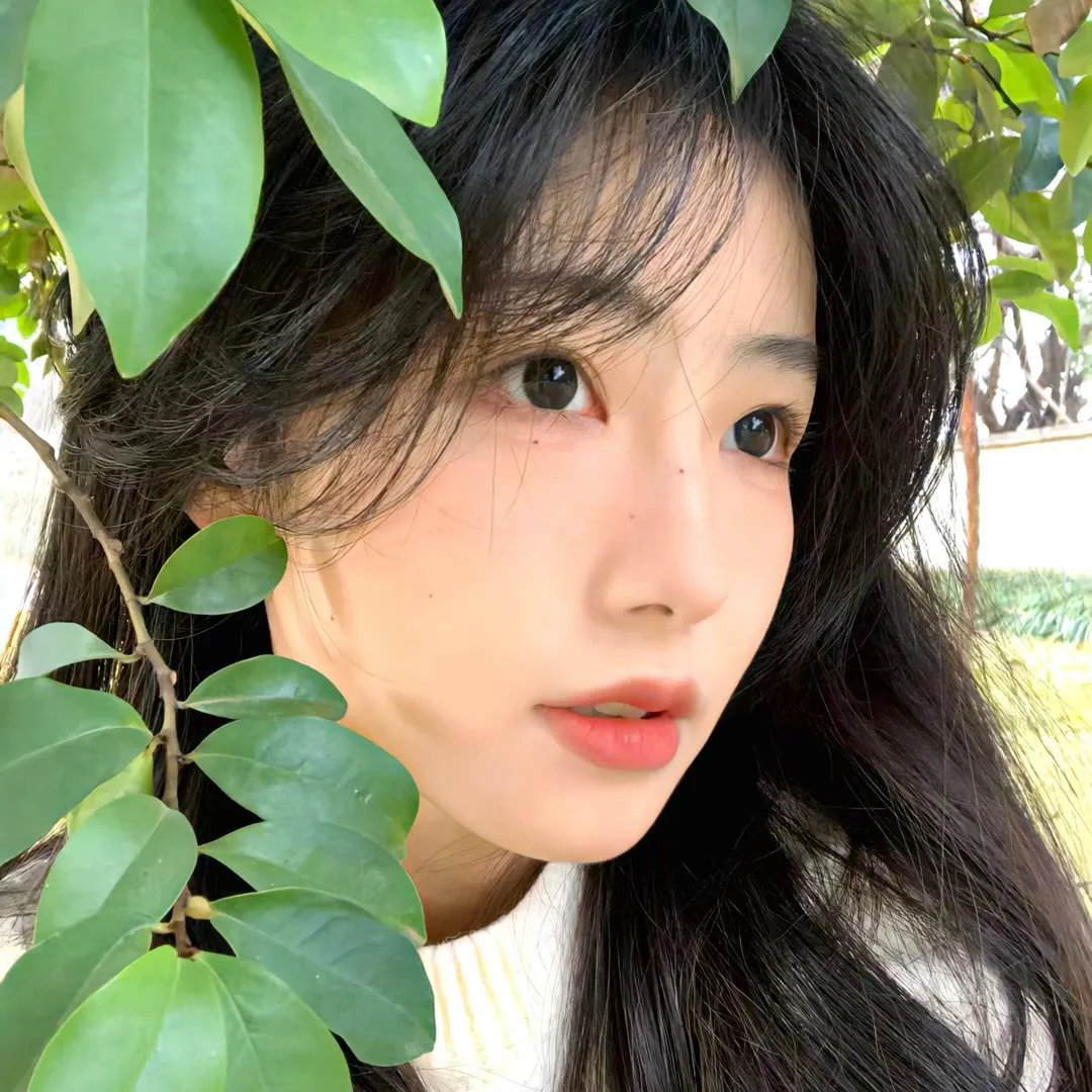加菲猫的幸福生活第一季