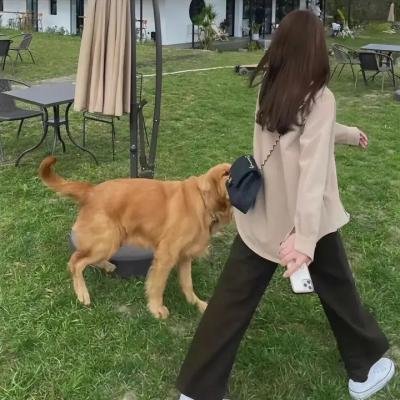 火药之心
